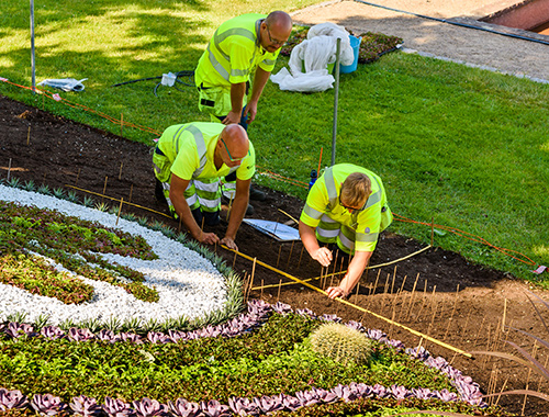 Image: North Georgia Landscape Management staff work on residential landscaping project. Duluth, GA landscaping company.